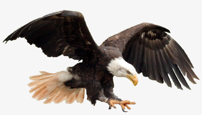 Americanflat United States America Flag Shower Curtain, transparent png #784129