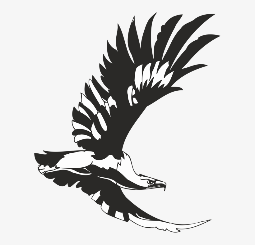 Flying Eagle - Трафареты Хищных Птиц, transparent png #784158