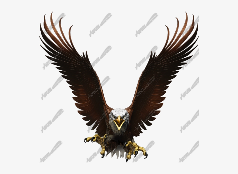 Flight Of The Eagle, transparent png #784238