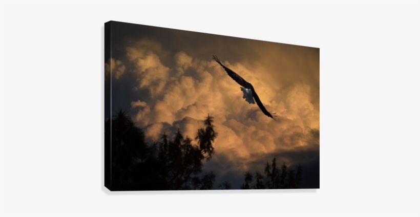 Eagle Flying Into The Storm Canvas Print - Eagle Flying High Above Jagged Rocks, transparent png #784299