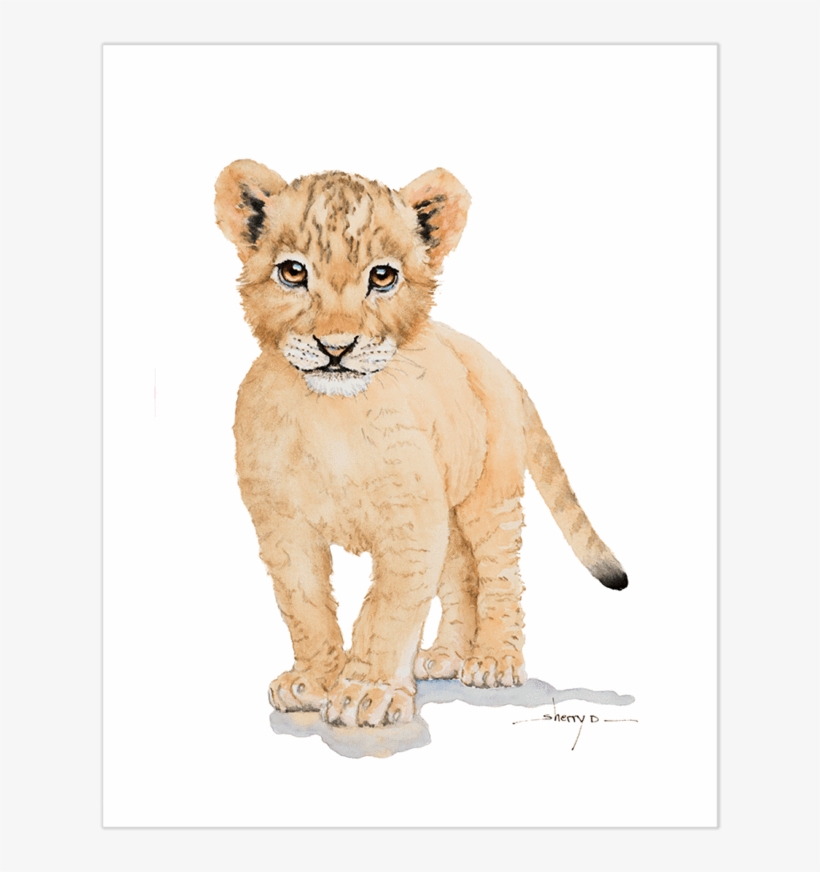 Baby Lion Wall Art - Art, transparent png #784975
