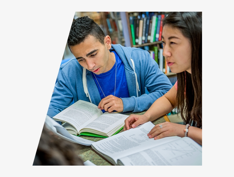 Students Studying - Reading, transparent png #785157