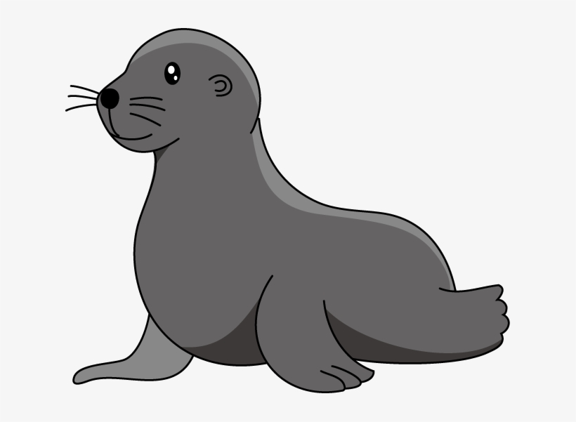 Baby Sea Lion Clipart Sea Lion Clipart Sea Lion Clip - Clip Art Sea Lion, transparent png #785158