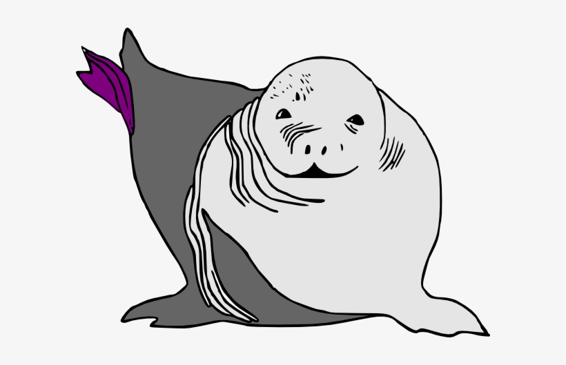 Baby Seal Baby Sea Lion Svg Clip Arts 600 X 449 Px, transparent png #785184