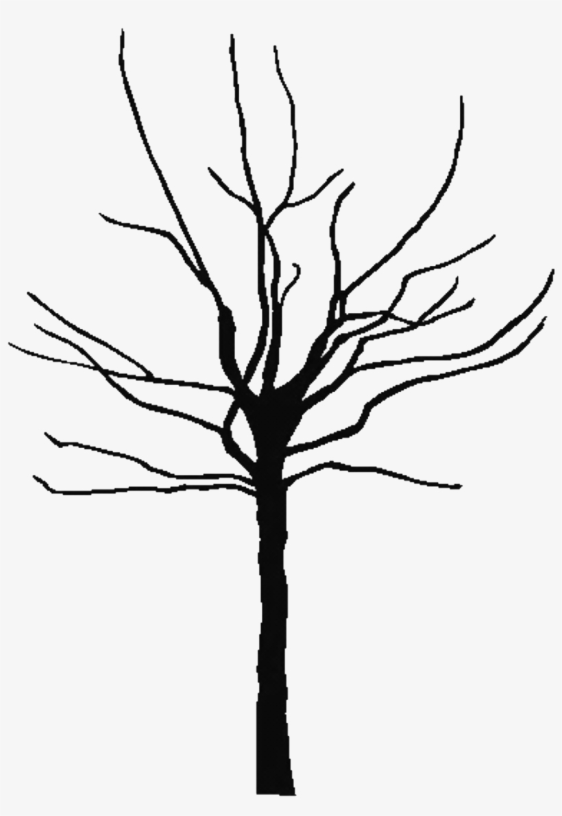 Bare Tree Clipart - Bare Clipart Tree, transparent png #785521