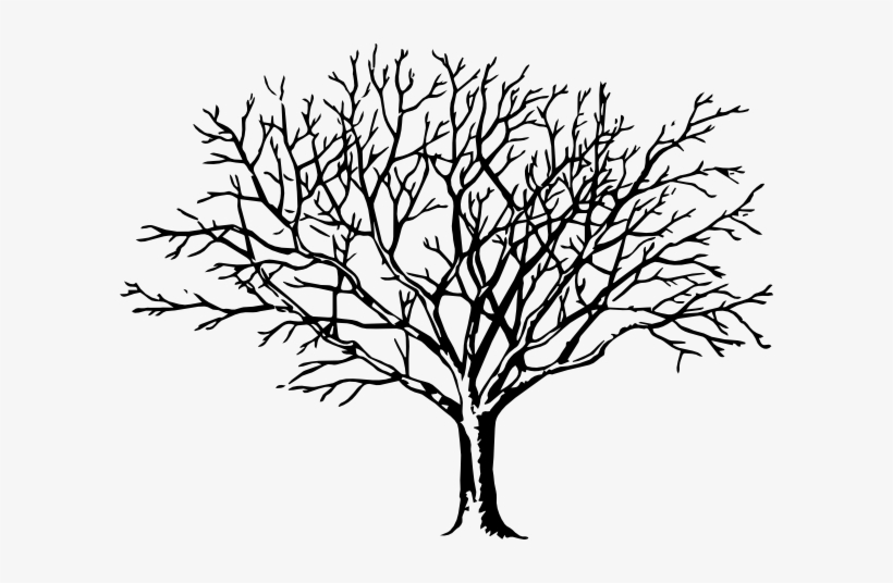 19 Bare Black And White Download Leaves Huge Freebie - Big Black And White Tree, transparent png #785673