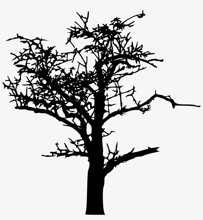 18 Bare Tree Silhouette Vol - Portable Network Graphics, transparent png #785727