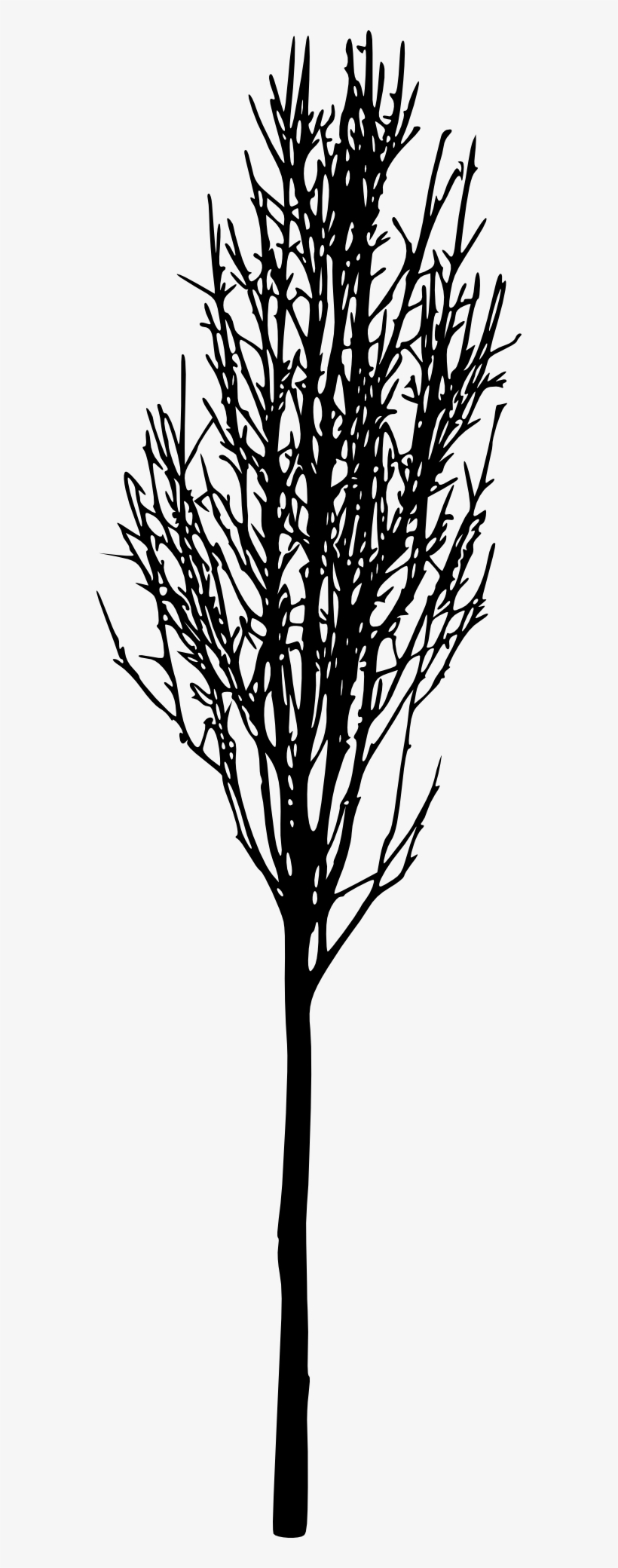 12 Simple Bare Tree Silhouettes - Portable Network Graphics, transparent png #785834