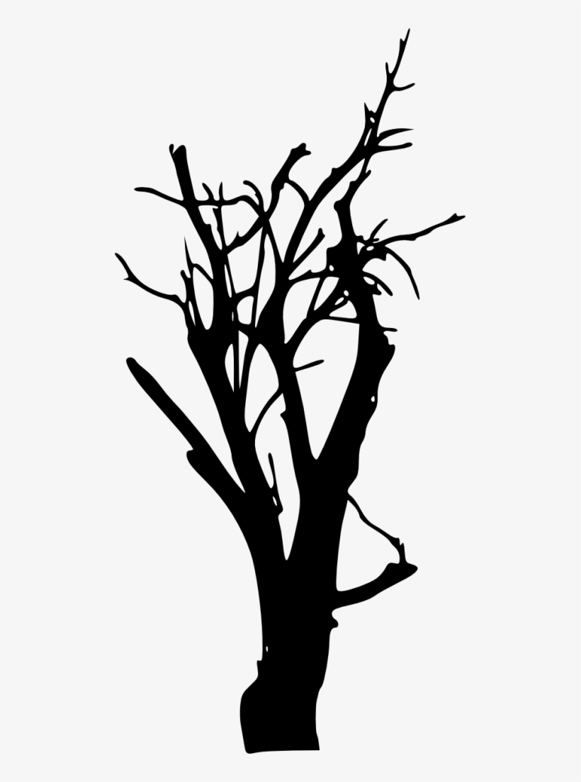Free Png Bare Tree Silhouette Png Images Transparent - Portable Network Graphics, transparent png #786120