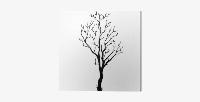 Vector Black Silhouette Of A Bare Tree Canvas Print - Bare Tree Branch Vector, transparent png #786141