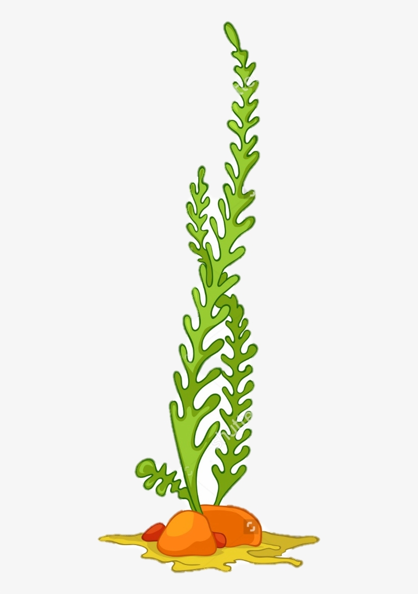 Transparent Ocean Plant - Sea Plant Cartoon Png, transparent png #787630