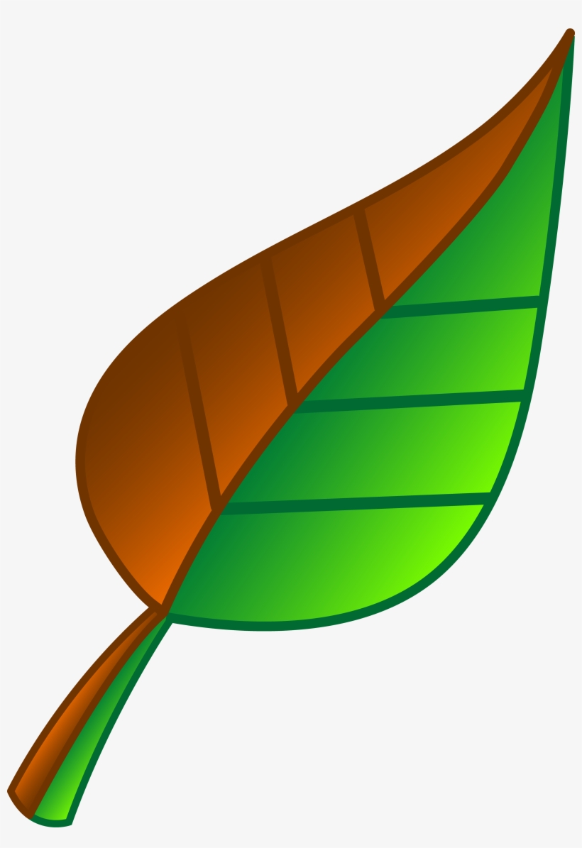 Green Clipart Falling Leaves - Green And Brown Leaf, transparent png #788025