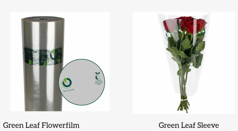 Green Leaf - Product, transparent png #788336