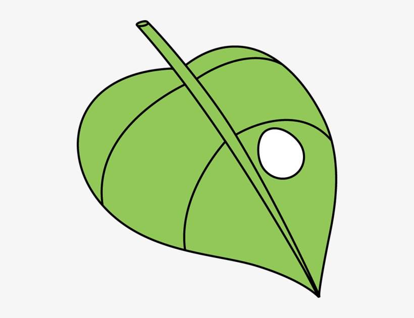 Butterfly Egg On A Leaf Caterpillar Egg On A Leaf Free Transparent