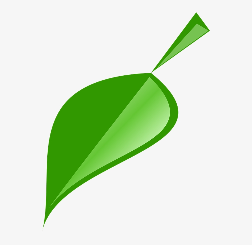 Green Leaves Clipart Single Green Leave - Single Neem Leaf Logo, transparent png #788935