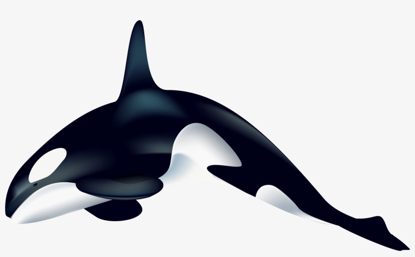 Png Transparent Clip Art, transparent png #788936