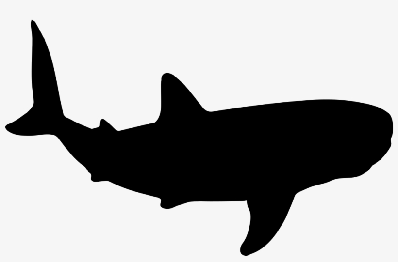 Shark Shape Svg Png - Shark Shape Png, transparent png #789009