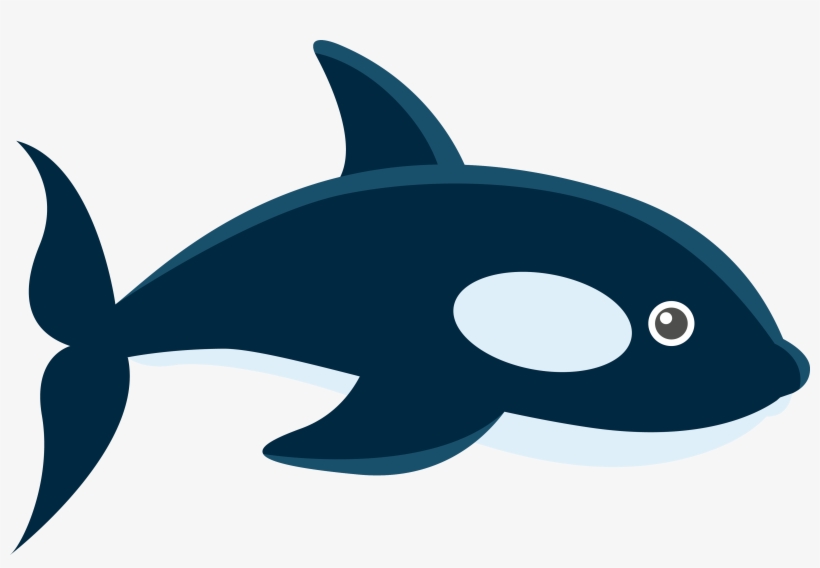 Whale Marine Biology Adobe Illustrator - Imagenes De Ballenas Animadas, transparent png #789152