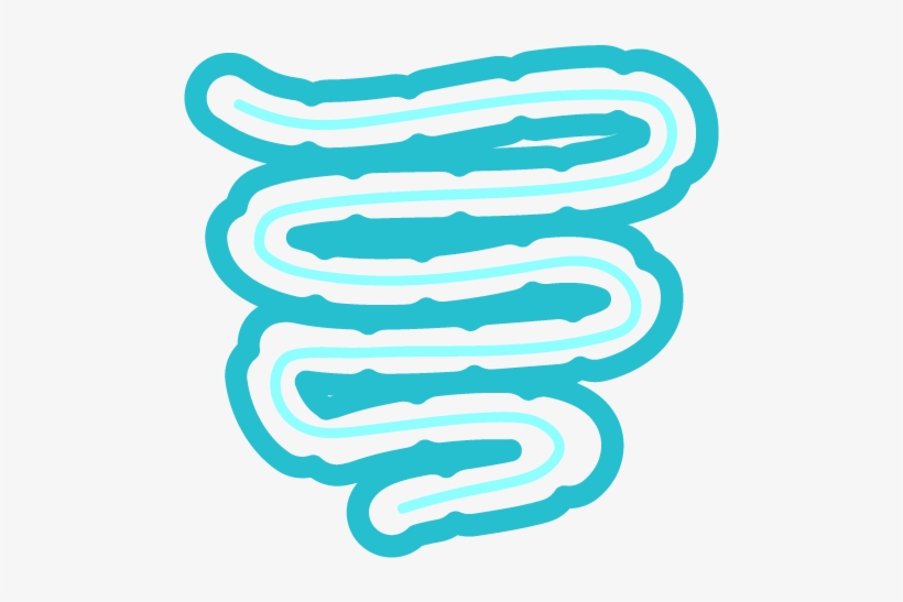 The Proper Balance Of Your Gut Bacteria Is Crucial - Liver, transparent png #789497