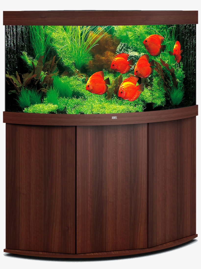 Aquarium Png - Trigon Juwel 350, transparent png #7800213
