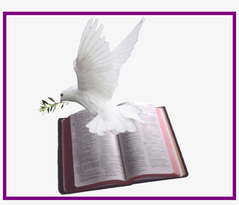 908 X 732 16 - Dove And Bible Png, transparent png #7800214