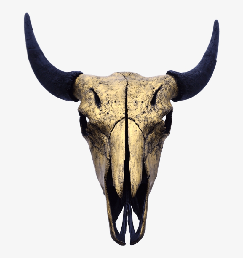 Gold Bison Skull - Bison Skull Png, transparent png #7800424