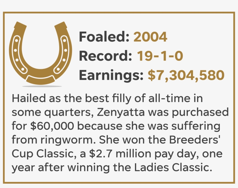 Spectacular Bid - Circle, transparent png #7800697