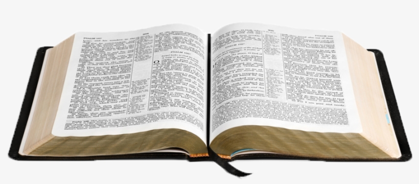 Red Lion Statement Of Faith - Twisted Scripture, transparent png #7800703