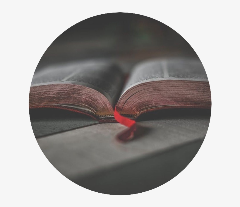 Open Bible - Bible, transparent png #7800756