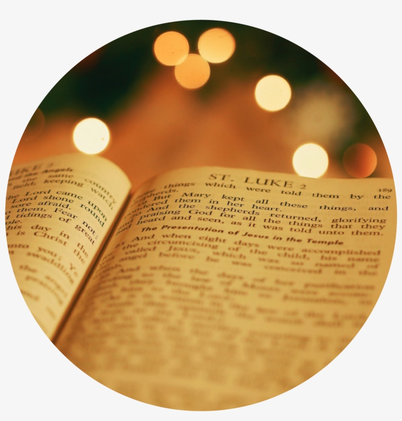 Read - Bible Reading Background Christmas, transparent png #7800871