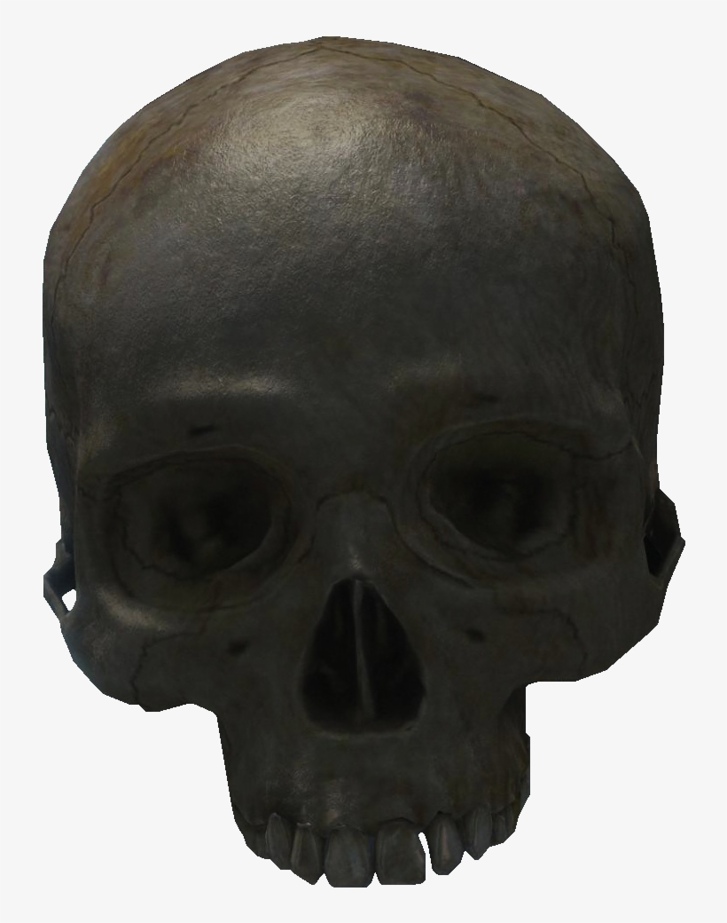 Skull, transparent png #7800892