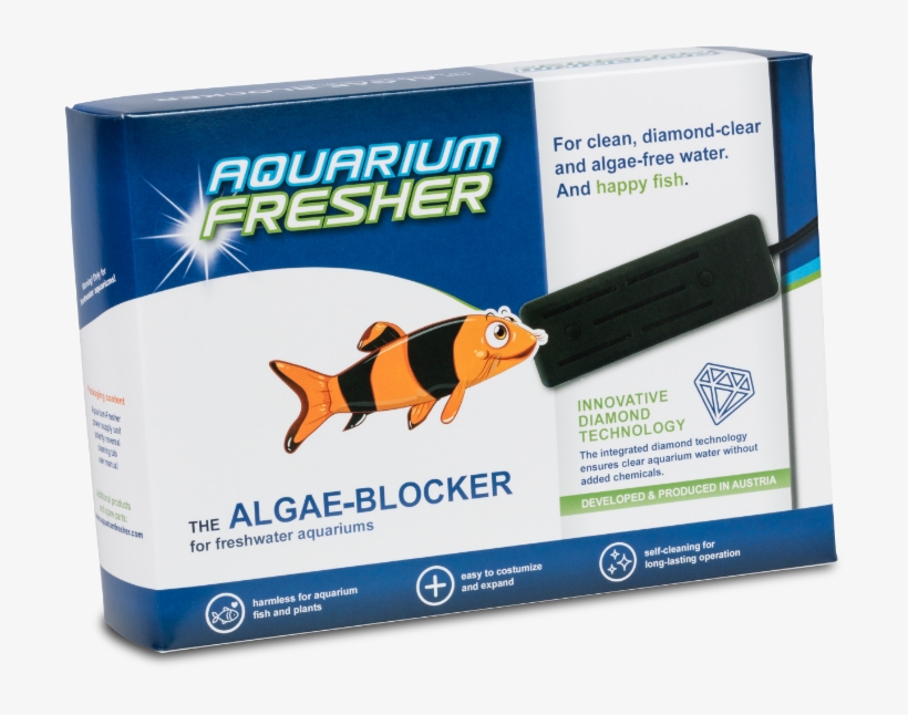 Large For Aquarium Up To 500 L - Pomacentridae, transparent png #7801097