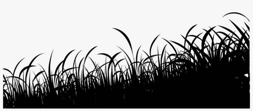 Grass Silhouette Grass Silhouette - Grass, transparent png #7802716