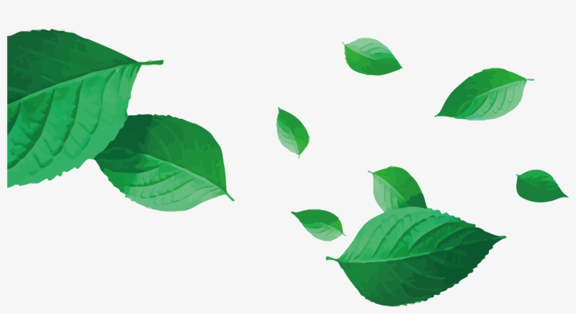 Leaf Vector Png - Tea Leaves Vector Png, transparent png #7803583