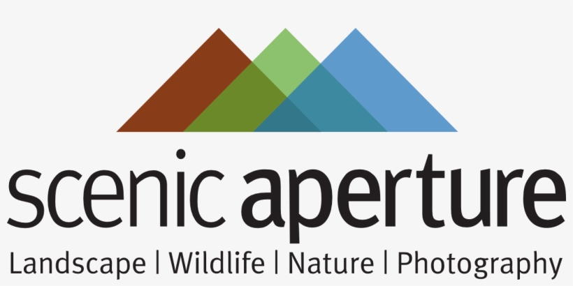 New Logo For Scenic Aperture - Education And Culture Dg, transparent png #7804692