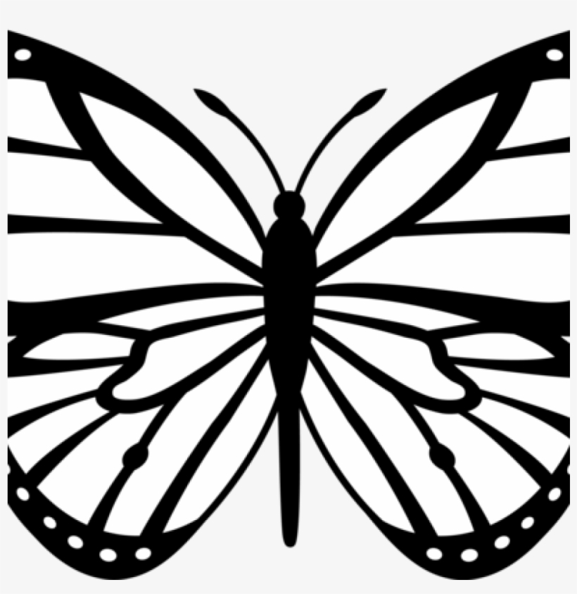 Butterfly Outline Clipart Butterfly Outline Clipart - Butterfly Clupart, transparent png #7804693