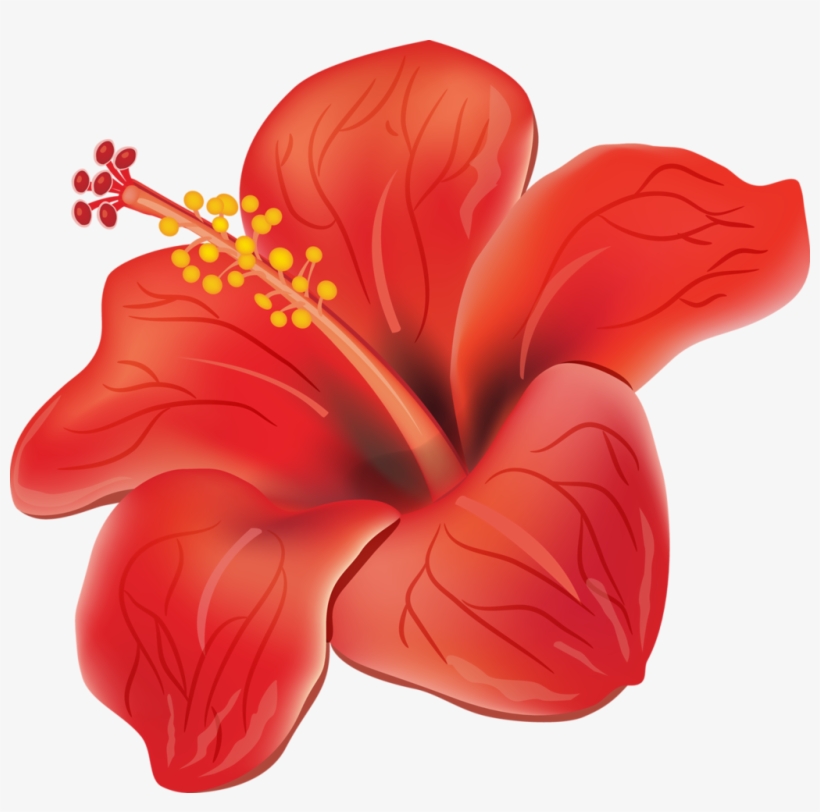Tropical - Flores Moana De Verdade - Free Transparent PNG Download - PNGkey