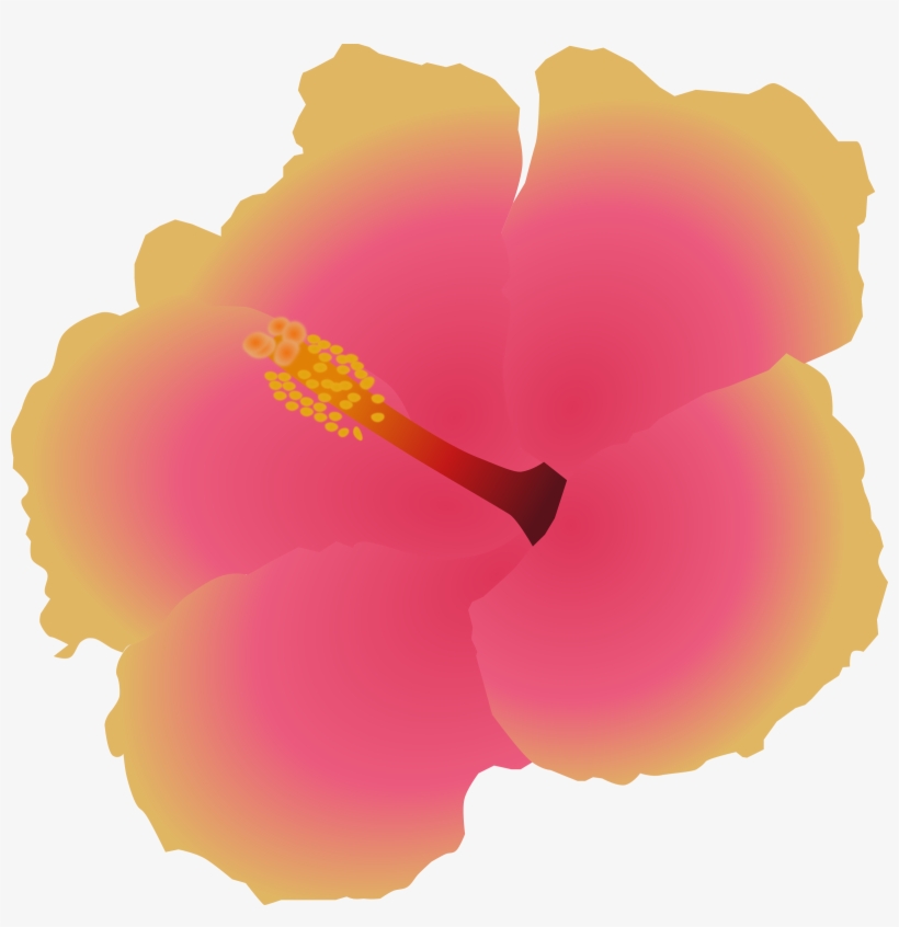 Big Image - Hawaiian Hibiscus, transparent png #7805425