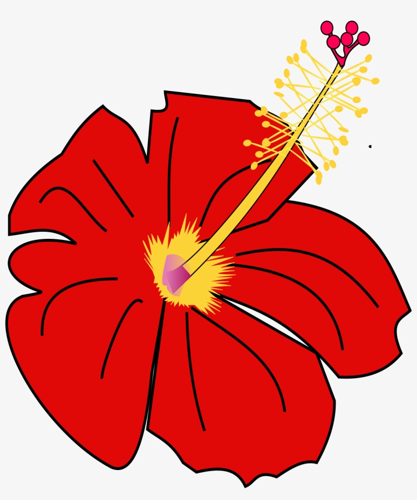 Open - Hawaiian Hibiscus, transparent png #7805810