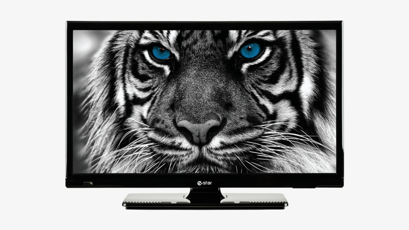 Ledtv 20d2t1 Ledtv Front - E Star Tv, transparent png #7806127