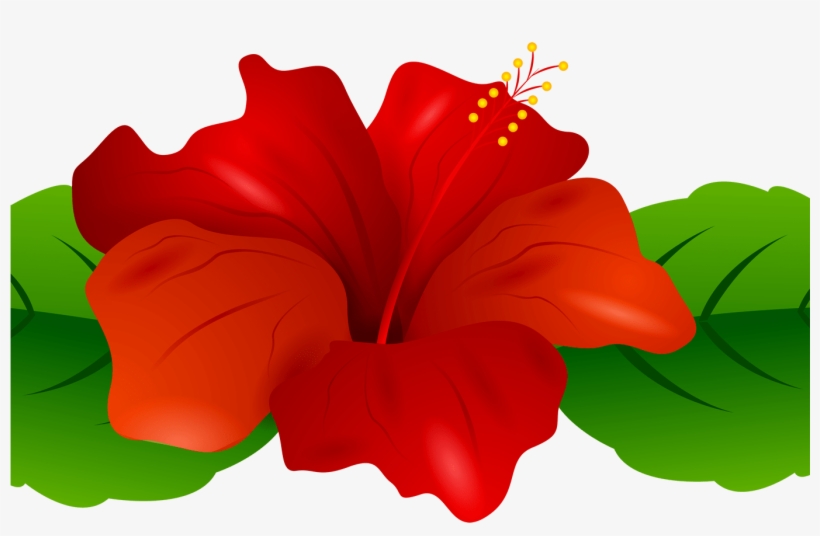 Hibiscus Clipart Flower Boarder, Hibiscus Flower Boarder - Transparent Flowers Clipart Png, transparent png #7806165
