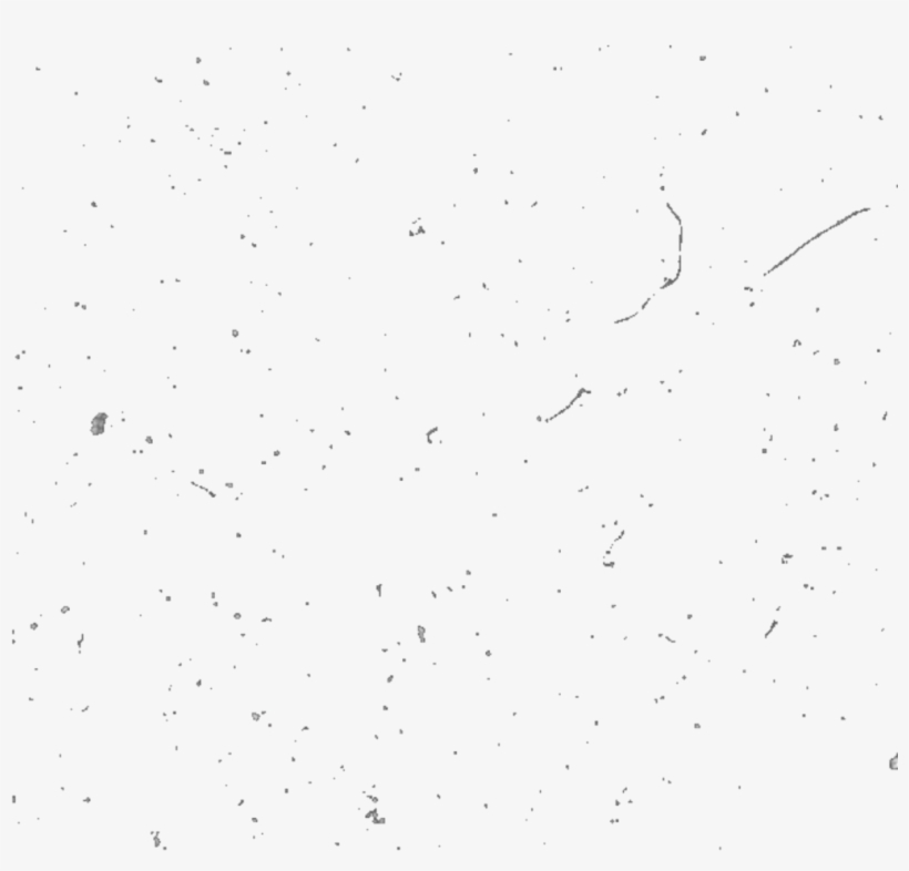 Texturemask Texture Textura Freetoedit Remixit Texturee - Monochrome, transparent png #7806233