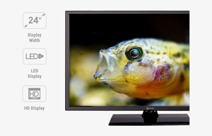 24d1t1 Ikonos Ir Dalis Tv - Photograph, transparent png #7806503