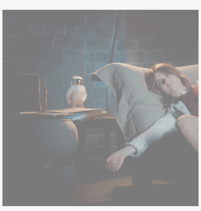 Owl, transparent png #7807464