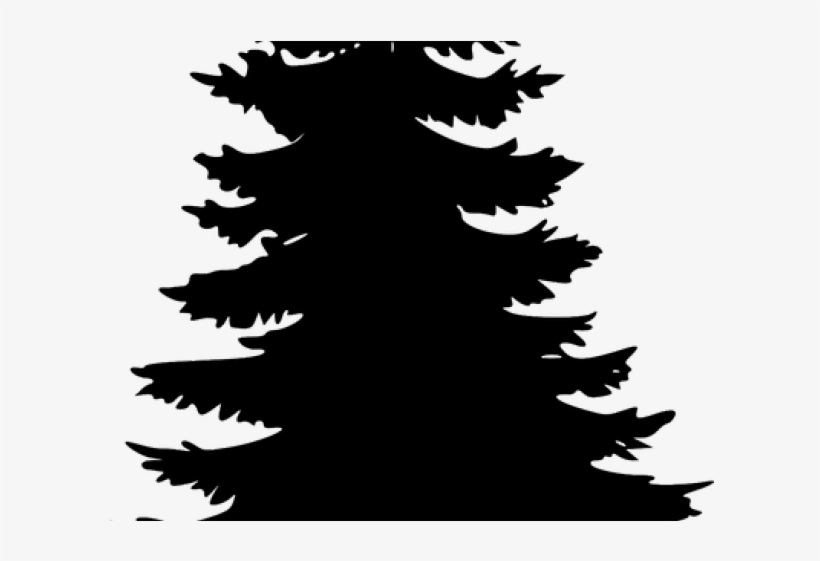 Pine Tree Vector - Christmas Trees Png Black, transparent png #7807708