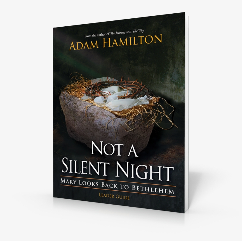 View Larger - Flyer, transparent png #7811852