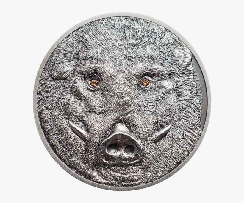 Wild Boar Sus Scrofa, Cit Coin Invest Trust Ag / B - Wild Boar, transparent png #7812756