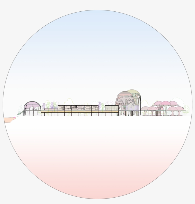 Psychoactive Section View - Flores Fuxico, transparent png #7813498