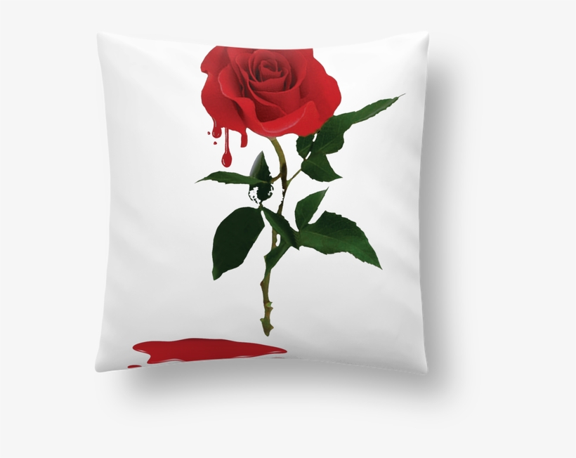 Garden Roses, transparent png #7814318