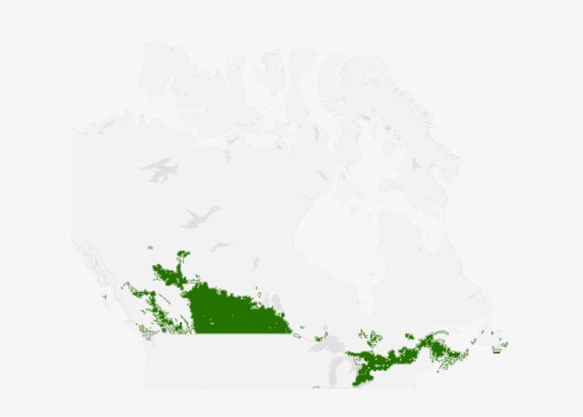 Agricultural Extent Map Of Canada - Nuugaatsiaq Map, transparent png #7816451